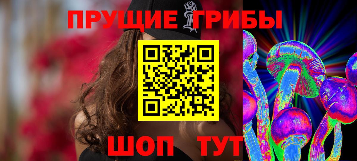 Галлюциногенные грибы Psilocybine cubensis Сертолово