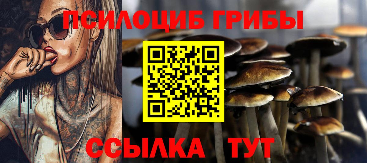 Галлюциногенные грибы Magic Shrooms  Вход с VPN  Сертолово 